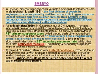 EMBRYO
 In Gnetum, different species shows variable embryonal development. (A/c
to Maheshwari & Vasil (1961), the first division of zygote in
angiosperm is accompnied by wall formation while in gymnosperms
[except sequoia spp.]free nuclear division.Thus Gnetum in this
respect forms a link b/w gymnosperms & angiosperms as it shows
both free nuclear division & cell wall formation)
 A/c to Madhulata(1960), In G.gnemon, out of 2-4 zygotes, 1 remains
functional& develops 1-3 small tubular outgrowths, out of which only one
receives nucleus while other disintegrates. The surviving outgrowths or
PST primary suspensor tubes coiled around each other. A small cell
cuts off at the tip of PST, divides 1st transversely & then longitudinally
giving 4 cells which divides to from cell mass. Some of its cells
elongates/divides to form SST secondary suspensor tube while other
cells form Embryonal mass EM .The primary & secondary suspensors
helps in pushing embryo to endosperm.
 At the end of pushing, stem tip with 2 lateral cotyledons formed at the tip
of EM while root tip with root cap is formed at opposite side; thereafter
feeder develops b/w the root & shoot portion such that the resultant
mature Embryo consists of stem tip, two cotyledons root tip & root
cap in respective sequence.
 