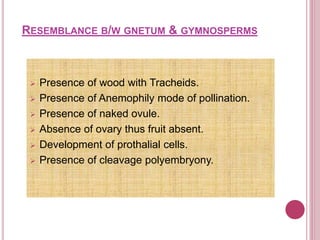 RESEMBLANCE B/W GNETUM & GYMNOSPERMS
 Presence of wood with Tracheids.
 Presence of Anemophily mode of pollination.
 Presence of naked ovule.
 Absence of ovary thus fruit absent.
 Development of prothalial cells.
 Presence of cleavage polyembryony.
 