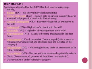 IUCN RED LIST
Species are classified by the IUCN Red List into various groups
namely,
 Extinct (EX) – No known individuals remaining
 Extinct in the wild (EW) – Known only to survive in captivity, or as
a naturalized population outside its historic range
 Critically endangered (CR) – Extremely high risk of extinction in
the wild
 Endangered (EN) – High risk of extinction in the wild
 Vulnerable (VU) – High risk of endangerment in the wild
 Near threatened (NT) – Likely to become endangered in the near
future
 Least concern (LC) – Lowest risk (Does not qualify for a more at-
risk category; widespread and abundant taxa are included in this
category.)
 Data deficient (DD) – Not enough data to make an assessment of its
risk of extinction
 Not evaluated (NE) – Has not yet been evaluated against the criteria
 G.ula, G.montanum, G.gnemon, G.latifolium, are under LC.
 G.contractum is under Vulnerable category
 