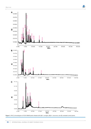 Differential Induction of Flavonoids in Groundnut in Response to Helicoverpa armigera and Aphis craccivora Infestation