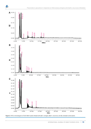 Differential Induction of Flavonoids in Groundnut in Response to Helicoverpa armigera and Aphis craccivora Infestation