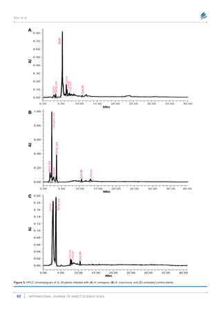 Differential Induction of Flavonoids in Groundnut in Response to Helicoverpa armigera and Aphis craccivora Infestation