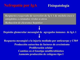 Nefropatía por IgA                  Fisiopatología

 Respuesta exagerada de secreción de IgA 1 de médula ósea o
 amígdalas a estímulos virales u otros
 Reducción de clearance hepático


Depósito glomerular mesangial de agregados inmunes de IgA 1


Respuesta mesangial a la injuria mediada por anticuerpo y C5b9
        Producción autocrina de factores de crecimiento
                     Proliferación celular
           Cambios en el fenotipo miofibroblástico
           Aumento producción de colágeno tipo I
 