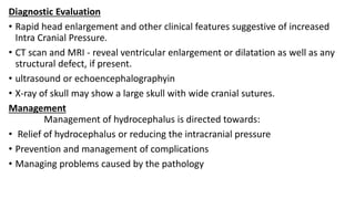 Diagnostic Evaluation
• Rapid head enlargement and other clinical features suggestive of increased
Intra Cranial Pressure.
• CT scan and MRI - reveal ventricular enlargement or dilatation as well as any
structural defect, if present.
• ultrasound or echoencephalographyin
• X-ray of skull may show a large skull with wide cranial sutures.
Management
Management of hydrocephalus is directed towards:
• Relief of hydrocephalus or reducing the intracranial pressure
• Prevention and management of complications
• Managing problems caused by the pathology
 
