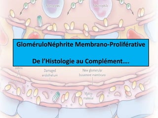 GloméruloNéphrite Membrano-Proliférative
De l’Histologie au Complément….
 
