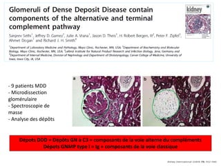 - 9 patients MDD
- Microdissection
glomérulaire
- Spectroscopie de
masse
- Analyse des dépôts
Dépots DDD = Dépôts GN à C3 = composants de la voie alterne du compléments
Dépots GNMP type I = Ig + composants de la voie classique
 