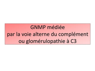 GNMP médiée
par la voie alterne du complément
ou glomérulopathie à C3
 