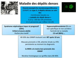 Maladie des dépôts denses
Glomérulonéphrite membranoproliférative
(GNMP) de type II, à dépôts denses au sein
des
membranes basales ou
« maladie du dépôt dense »
0.22 p. 100 des GN primitives
2 à 3 personnes par million (16-24)
Syndrome néphrotique impur et progressif
(50%)
Enfant et jeune adulte
Parfois plus tardif
Hypocomplémentémie C3 +++
non spécifique et non corrélé à
l’activité de la maladie
C3 nef (80%) …
40-50% des GNMP évoluent vers IRT après 10 ans
Mauvais pronostic si SN, atteinte rénale ou HTA
persistante au moment du diagnostic
la MDD a le moins bon pronostic des
GNMP
Récidive histologique sur greffon dans 80-90%
 