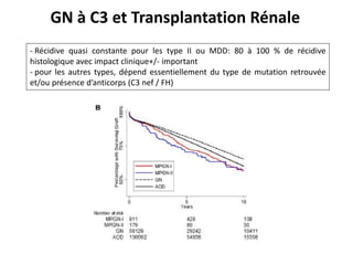 GN à C3 et Transplantation Rénale
- Récidive quasi constante pour les type II ou MDD: 80 à 100 % de récidive
histologique avec impact clinique+/- important
- pour les autres types, dépend essentiellement du type de mutation retrouvée
et/ou présence d’anticorps (C3 nef / FH)
 
