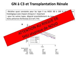 GN à C3 et Transplantation Rénale
- Récidive quasi constante pour les type II ou MDD: 80 à 100 % de récidive
histologique avec impact clinique+/- important
- pour les autres types, dépend essentiellement du type de mutation retrouvée
et/ou présence d’anticorps (C3 nef / FH)
 