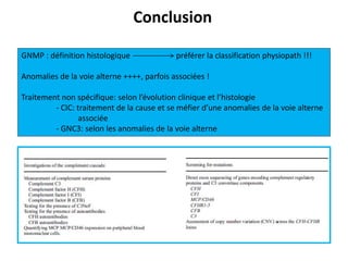 Conclusion
GNMP : définition histologique préférer la classification physiopath !!!
Anomalies de la voie alterne ++++, parfois associées !
Traitement non spécifique: selon l’évolution clinique et l’histologie
- CIC: traitement de la cause et se méfier d’une anomalies de la voie alterne
associée
- GNC3: selon les anomalies de la voie alterne
 