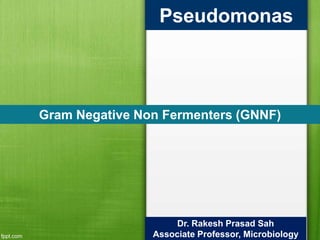 Pseudomonas
Dr. Rakesh Prasad Sah
Associate Professor, Microbiology
Gram Negative Non Fermenters (GNNF)
 