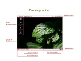 Pantalla principal
 