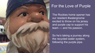 For the Love of Purple
The Rockies home opener has
our resident #watergnome
excited to throw on his jersey
and purple cap to support his
team — and his passion.
So he’s taking a journey along
the recycled water system,
following the purple pipe.
 