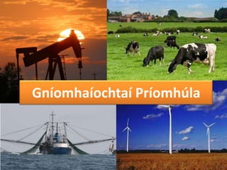 Gníomhaíochtaí Príomhúla

 