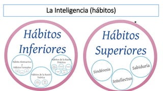 La Inteligencia (hábitos)
 