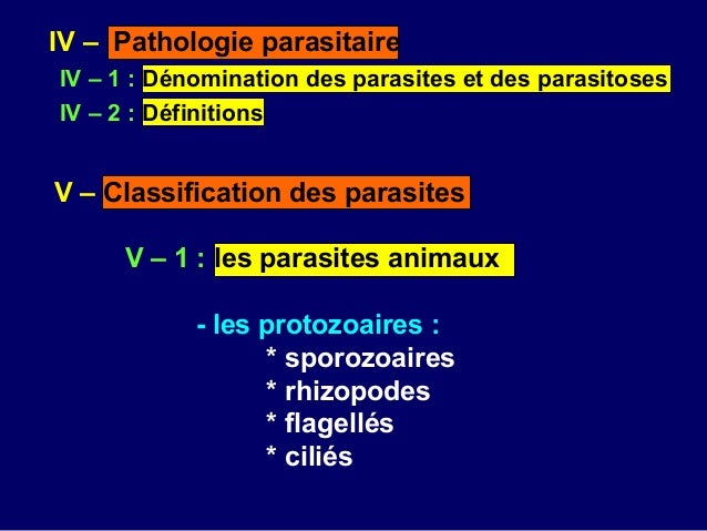 De pour quoi près des tortues les helminthes