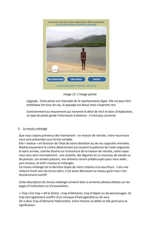  
                                                      Image	
  21:	
  L’image	
  pétrée	
  

         Légende	
  :	
  Cette	
  photo	
  est	
  l’exemple	
  de	
  la	
  représentation	
  figée.	
  Elle	
  est	
  peut-­‐être	
  
         esthétique	
  (en	
  tous	
  les	
  cas,	
  le	
  paysage	
  est	
  beau)	
  mais	
  n’exprime	
  rien.	
  

         Contrairement	
  au	
  mouvement	
  qui	
  transmet	
  le	
  désir	
  de	
  récit	
  et	
  donc	
  d’implication,	
  
         ce	
  type	
  de	
  photo	
  garde	
  l’Internaute	
  à	
  distance	
  :	
  il	
  n’est	
  pas	
  concerné.	
  

           	
  

2. Le	
  moulu-­‐mélangé	
  

Que	
  nous	
  soyons	
  prévenus	
  dès	
  maintenant	
  :	
  en	
  maison	
  de	
  retraite,	
  notre	
  nourriture	
  
nous	
  sera	
  présentée	
  sous	
  forme	
  variable.	
  	
  
Elle	
  «	
  évolue	
  »	
  en	
  fonction	
  de	
  l’état	
  de	
  notre	
  dentition	
  ou	
  de	
  vos	
  capacités	
  mentales.	
  
Malheureusement	
  le	
  critère	
  déterminant	
  est	
  souvent	
  la	
  patience	
  de	
  l’aide	
  soignante.	
  	
  
A	
  notre	
  arrivée,	
  comme	
  illustré	
  sur	
  la	
  brochure	
  de	
  la	
  maison	
  de	
  retraite,	
  votre	
  repas	
  
nous	
  sera	
  servi	
  normalement	
  :	
  une	
  assiette,	
  des	
  légumes	
  et	
  un	
  morceau	
  de	
  viande	
  ou	
  
de	
  poisson.	
  Les	
  années	
  passant,	
  nos	
  aliments	
  seront	
  prédécoupés	
  pour	
  nous	
  aider,	
  
puis	
  moulus,	
  et	
  enfin	
  moulus	
  et	
  mélangés.	
  	
  
Ce	
  moulu-­‐mélangé	
  est	
  la	
  dernière	
  étape	
  de	
  notre	
  relation	
  à	
  la	
  nourriture	
  :	
  c’est	
  une	
  
mixture	
  tirant	
  vers	
  les	
  bruns	
  clairs,	
  c’est	
  assez	
  déroutant	
  au	
  niveau	
  goût	
  mais	
  c’est	
  
foncièrement	
  nutritif.	
  

Cette	
  description	
  du	
  moulu-­‐mélangé	
  convient	
  bien	
  à	
  certaines	
  photos	
  éditées	
  sur	
  les	
  
pages	
  d’institutions	
  ou	
  d’associations.	
  

«	
  Trop	
  c’est	
  trop	
  »	
  dit	
  le	
  dicton	
  :	
  trop	
  d’éléments,	
  trop	
  d’objets	
  ou	
  de	
  personnages.	
  Ce	
  
trop	
  doit	
  également	
  souffrir	
  d’un	
  manque	
  d’homogénéité	
  ou	
  de	
  sens.	
  
On	
  a	
  donc	
  trop	
  d’éléments	
  hétéroclites.	
  Votre	
  histoire	
  se	
  délite	
  et	
  elle	
  perd	
  sens	
  et	
  
signification.	
  
             	
  
 