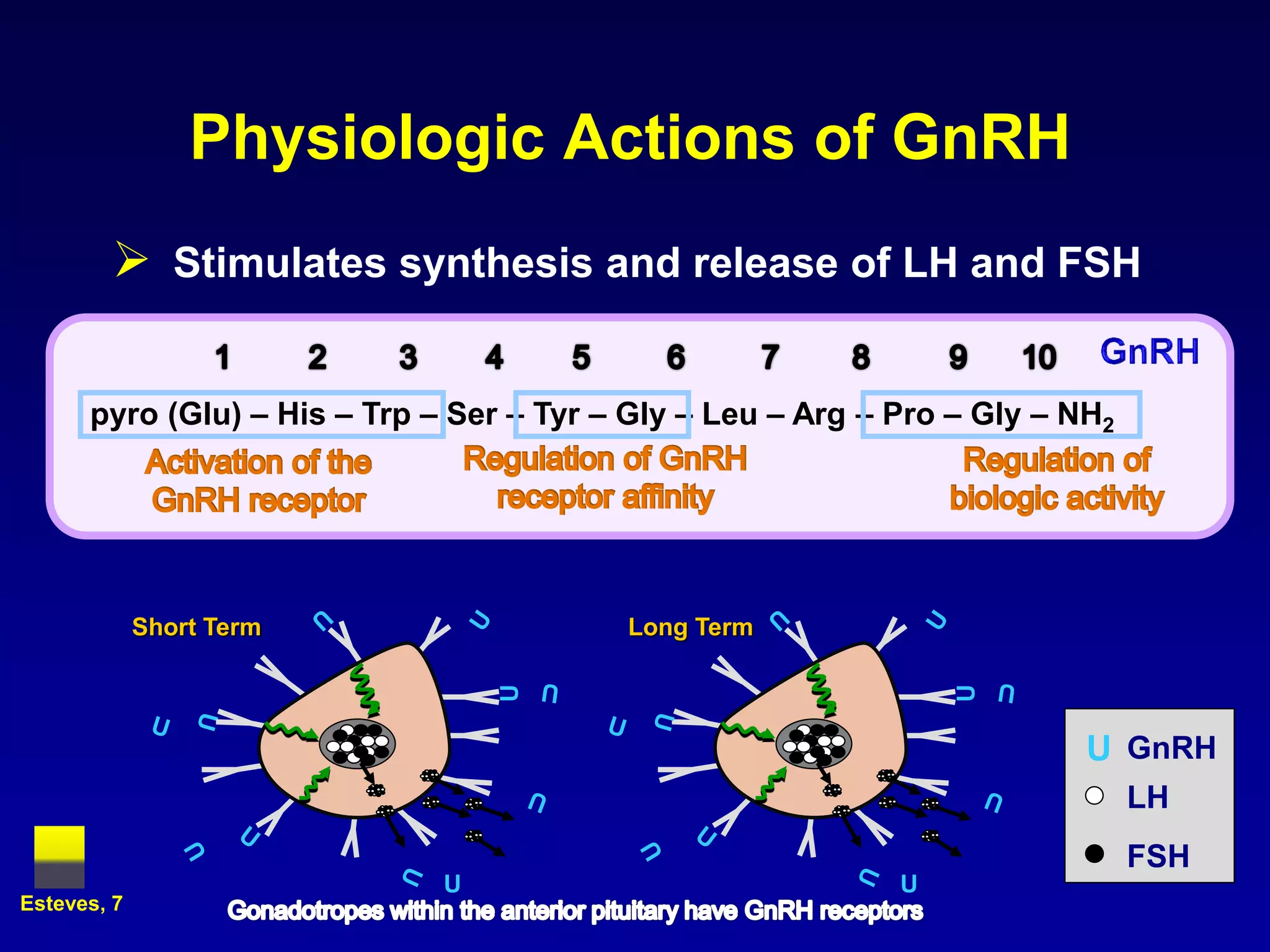 Physiologic Actions of GnRH
         Stimulates synthesis and release of LH and FSH

      pyro (Glu) – His – Trp – Ser – Tyr – Gly – Leu – Arg – Pro – Gly – NH2




             Short Term                   Long Term
                                  U




                                                                 U
                                                                          U GnRH
                                                                               LH
                                                                               FSH
                              U                              U
Esteves, 7
 