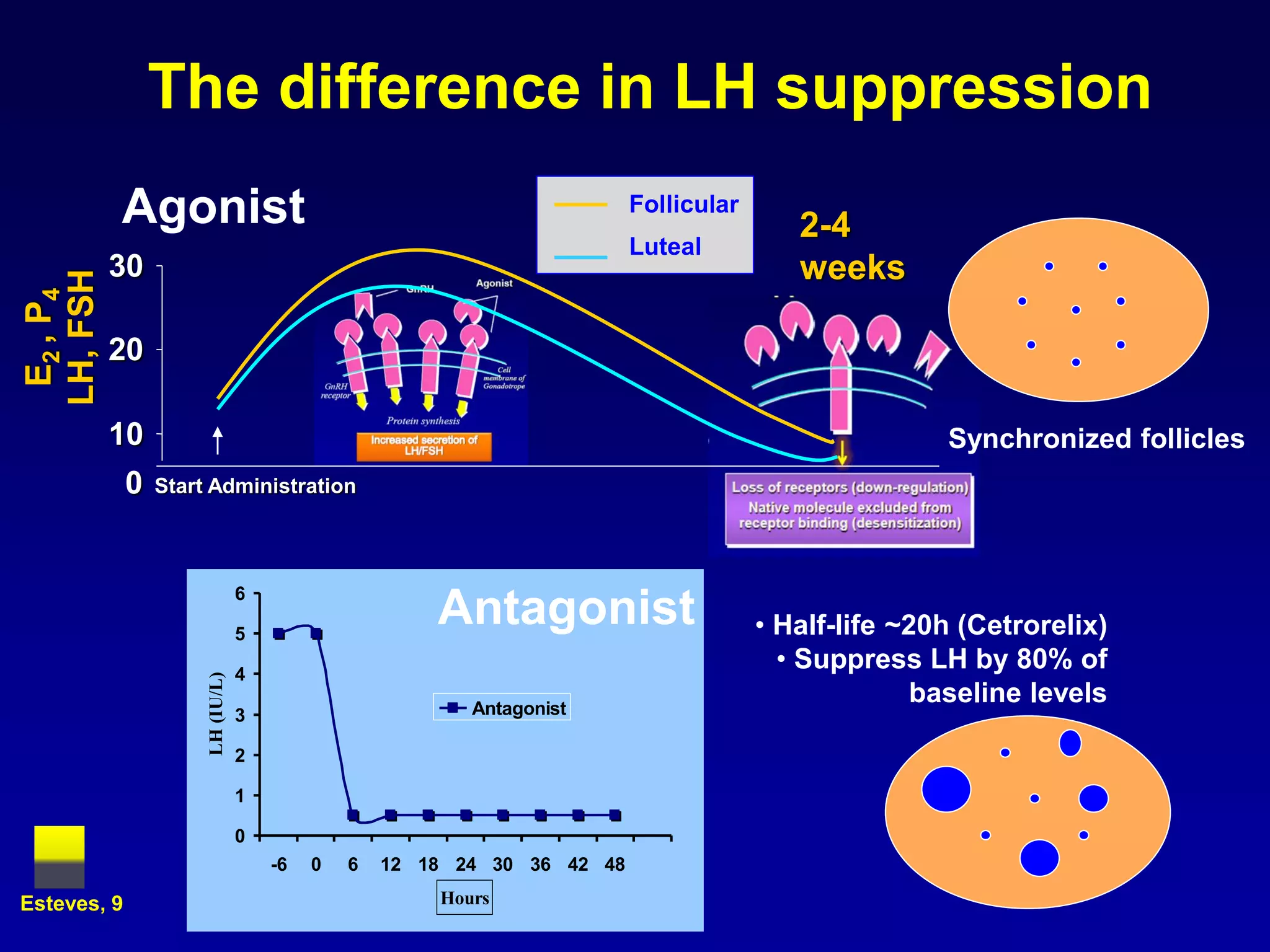 The difference in LH suppression
           Agonist                                                        Follicular
                                                                                          2-4
                                                                          Luteal
           30                                                                             weeks
LH, FSH
 E2 , P4




           20

           10                                                                                         Synchronized follicles
             0   Start Administration




                                  6

                                  5
                                                       Antagonist                      • Half-life ~20h (Cetrorelix)
                                  4
                                                                                         • Suppress LH by 80% of
                      LH (IU/L)




                                                          Antagonist
                                                                                                     baseline levels
                                  3

                                  2

                                  1

                                  0
                                      -6   0   6   12 18 24 30 36 42 48

Esteves, 9                                             Hours
 