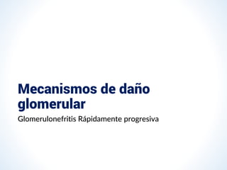 Mecanismos de daño
glomerular
Glomerulonefritis Rápidamente progresiva
 