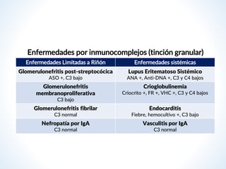 Enfermedades por inmunocomplejos (tinción granular)
Enfermedades Limitadas a Riñón Enfermedades sistémicas
Glomerulonefritis post-streptocócica
ASO +, C3 bajo
Lupus Eritematoso Sistémico
ANA +, Anti-DNA +, C3 y C4 bajos
Glomerulonefritis
membranoproliferativa
C3 bajo
Crioglobulinemia
Criocrito +, FR +, VHC +, C3 y C4 bajos
Glomerulonefritis fibrilar
C3 normal
Endocarditis
Fiebre, hemocultivo +, C3 bajo
Nefropatía por IgA
C3 normal
Vasculitis por IgA
C3 normal
 