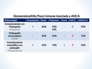 Glomerulonefritis Pauci-inmune Asociada a ANCA
Enfermedad Granulomas Renal Pulmonar Asma ANCA ANCA (+)
Granulomatosis con
Poliangeitis
(Wegener)
+ 80% 90%
ORL
- C 90%
Poliangeitis
microscópica
(PAM)
- 90% 50% - P 70%
Granulomatosis
eosinofílica con
poliangitis
(Churg-Straus)
+ 45% 70% + P 50%
 