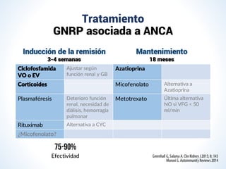 Tratamiento
GNRP asociada a ANCA
Inducción de la remisión
3-4 semanas
Mantenimiento
18 meses
Ciclofosfamida
VO o EV
Ajustar según
función renal y GB
Azatioprina
Corticoides Micofenolato Alternativa a
Azatioprina
Plasmaféresis Deterioro función
renal, necesidad de
diálisis, hemorragia
pulmonar
Metotrexato Última alternativa
NO si VFG < 50
ml/min
Rituximab Alternativa a CYC
¿Micofenolato?
Efectividad
 