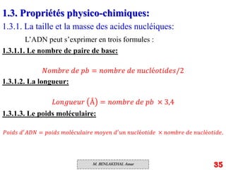 Génétique_-_Acides_nucléiques__chapitre_1.pdf
