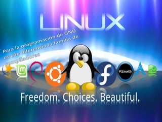 Gnu linux 21