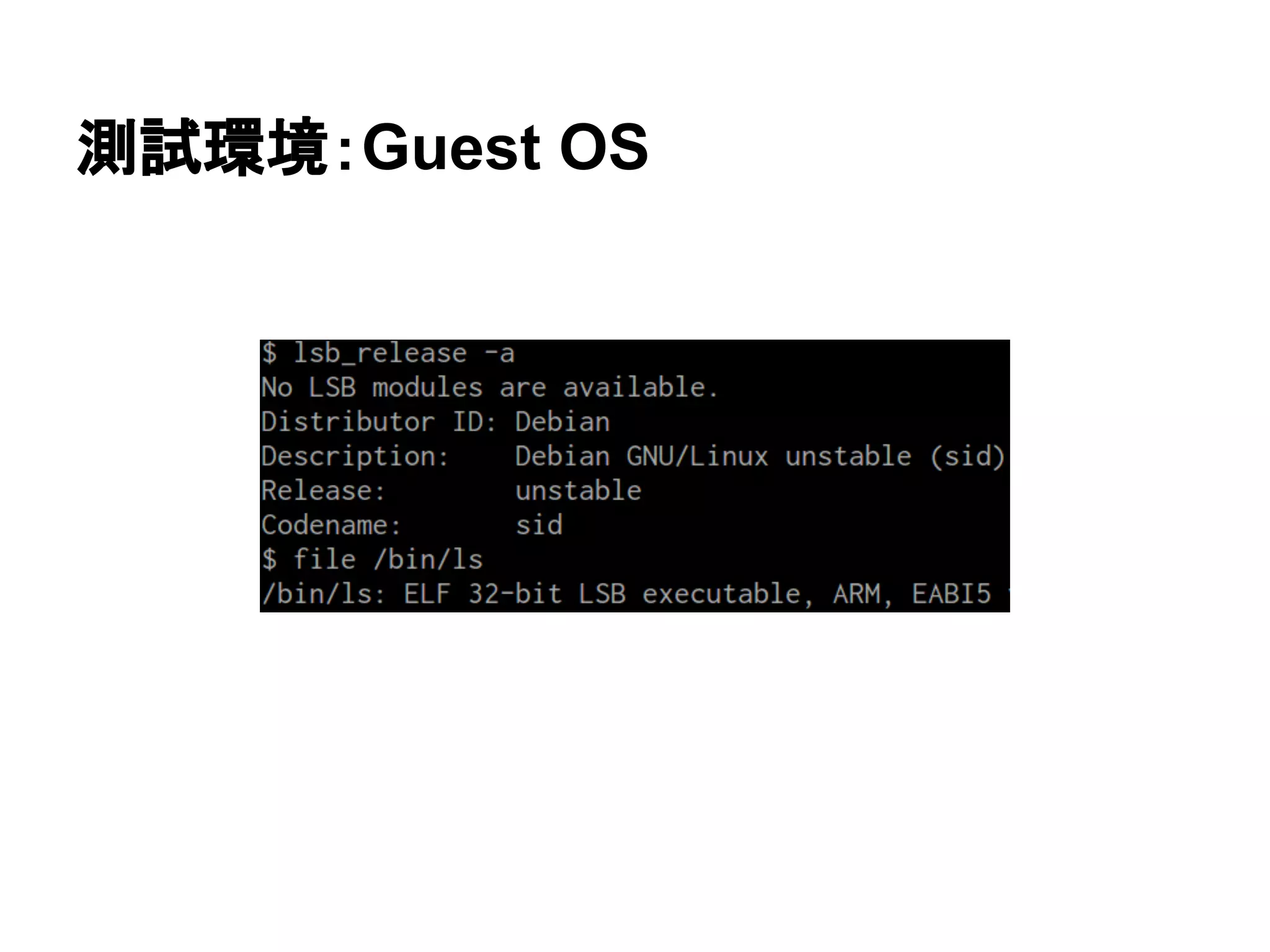 測試環境：Guest OS
 