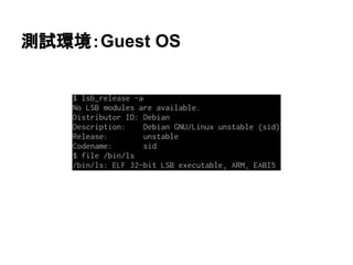 測試環境：Guest OS
 