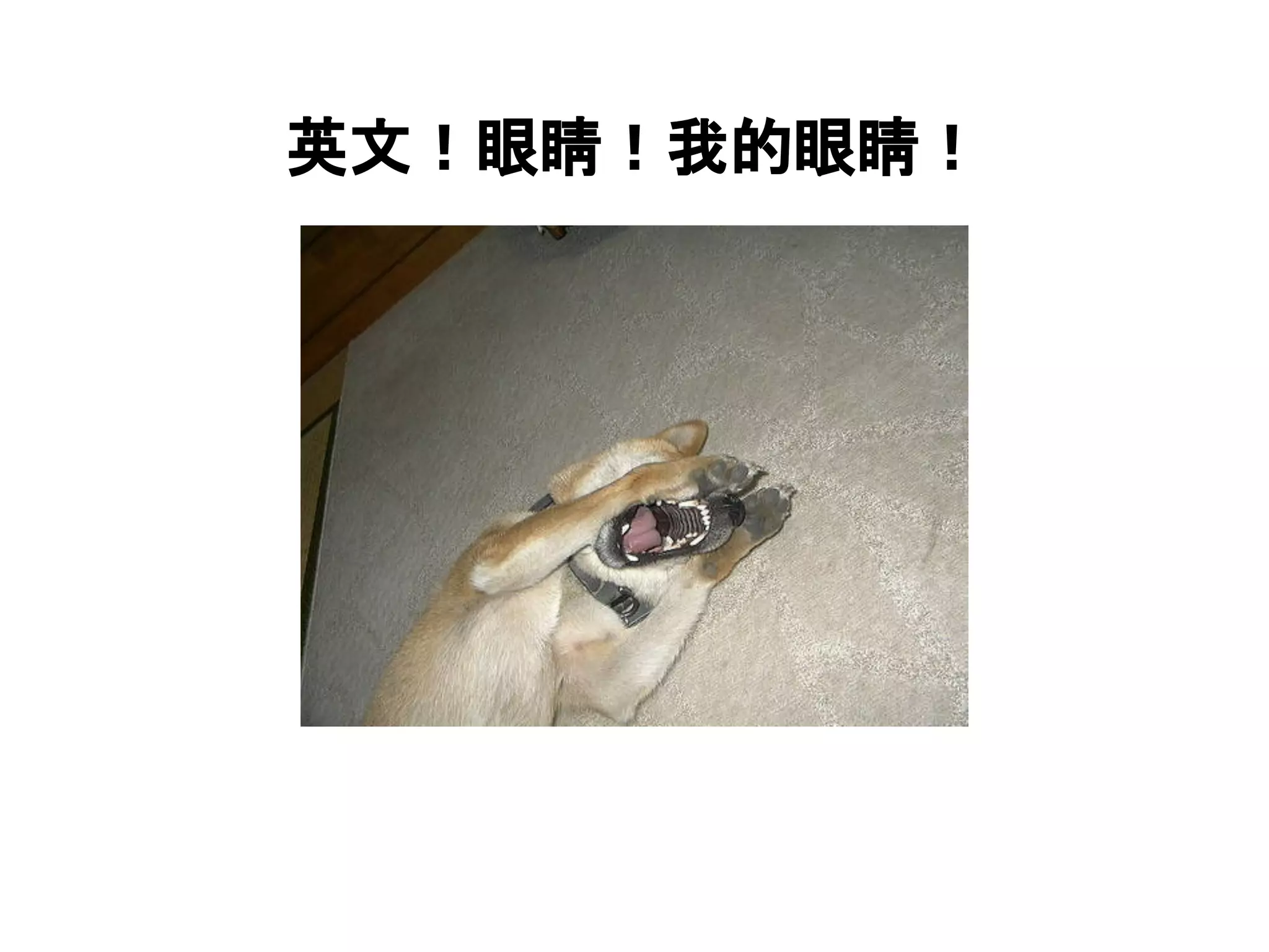 英文！眼睛！我的眼睛！
 