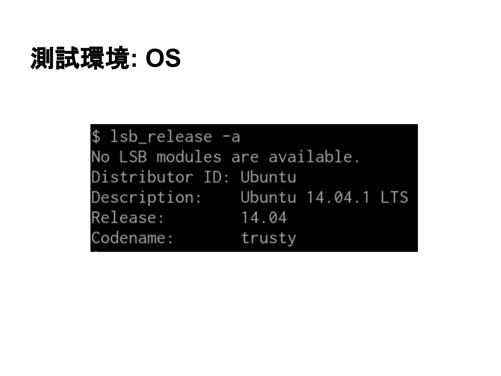 測試環境: OS
 