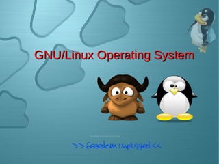 GNU/Linux Operating System




      >> freedom unplugged <<
 