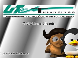 GNU/Linux Ubuntu




Carlos Alan Molina Riveros
 