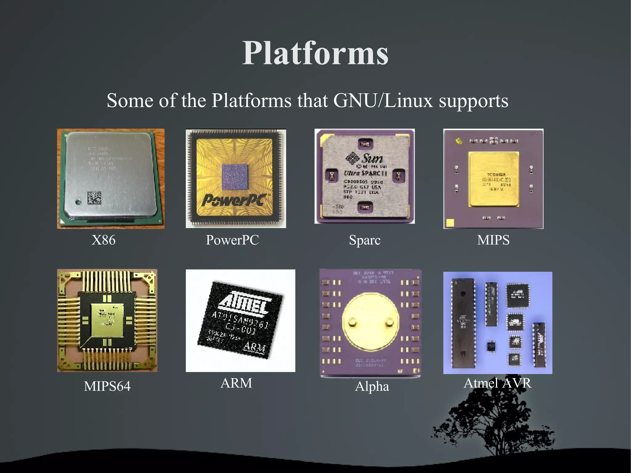 Platforms X86 PowerPC Sparc MIPS MIPS64 ARM Alpha Atmel AVR Some of the Platforms that GNU/Linux supports 
