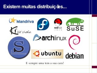 Existem muitas distribuições... E sempre uma tem a sua cara! 