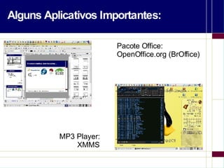 Alguns Aplicativos Importantes: Pacote Office: OpenOffice.org (BrOffice) MP3 Player: XMMS 