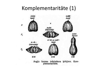 Komplementaritāte (1)
 