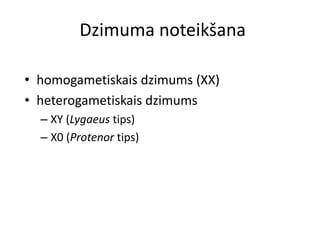 Dzimuma noteikšana

• homogametiskais dzimums (XX)
• heterogametiskais dzimums
  – XY (Lygaeus tips)
  – X0 (Protenor tips)
 