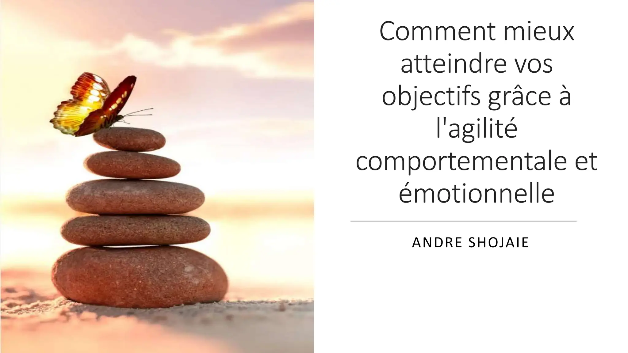 Comment mieux
atteindre vos
objectifs grâce à
l'agilité
comportementale et
émotionnelle
ANDRE SHOJAIE