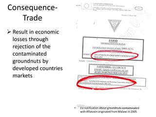 Consequence-
Trade
 Result in economic
losses through
rejection of the
contaminated
groundnuts by
developed countries
markets
• EU notification about groundnuts contaminated
with Aflatoxin originated from Malawi in 2005
 