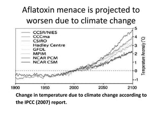 Aflatoxin menace is projected to
worsen due to climate change
Change in temperature due to climate change according to
the IPCC (2007) report.
 