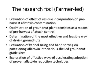 The research foci (Farmer-led)
• Evaluation of effect of residue incorporation on pre-
harvest aflatoxin contamination
• Optimization of groundnut plant densities as a means
of pre-harvest aflatoxin control.
• Determination of the most effective and feasible way
of drying groundnuts
• Evaluation of kennel sizing and hand sorting on
partitioning aflatoxin into various shelled groundnut
grade sizes
• Exploration of effective ways of accelerating adoption
of proven aflatoxin reduction techniques
 