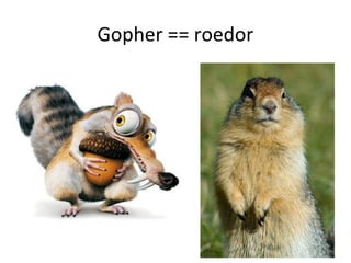 Gopher == roedor