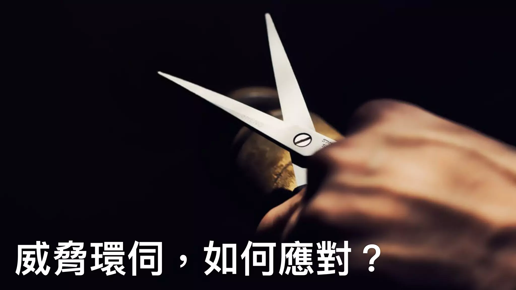 威脅環伺，如何應對？
 
