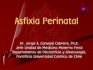 Asfixia Perinatal

    Dr. Jorge A. Carvajal Cabrera, Ph.D.
  Jefe Unidad de Medicina Materno Fetal
Departamento de Obstetricia y Ginecología.
  Pontificia Universidad Católica de Chile
 