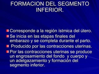 FORMACION DEL SEGMENTO INFERIOR. Corresponde a la región ístmica del útero. Se inicia en las etapas finales del embarazo y se completa durante el parto. Producido por las contracciones uterinas. Por las contracciones uterinas se produce un engrosamiento del fondo  y cuerpo y un adelgazamiento y formación del segmento inferior. 