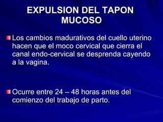 EXPULSION DEL TAPON  MUCOSO Los cambios madurativos del cuello uterino hacen que el moco cervical que cierra el canal endo-cervical se desprenda cayendo a la vagina. Ocurre entre 24 – 48 horas antes del comienzo del trabajo de parto. 